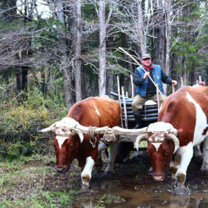 Turismo Rural