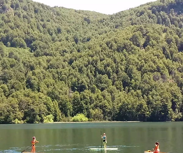 The Lake house_19