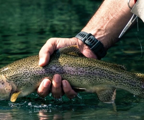 fly-fishing_8