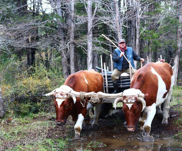 nativo-expediciones-futaleufu_turismo_ruraljpg