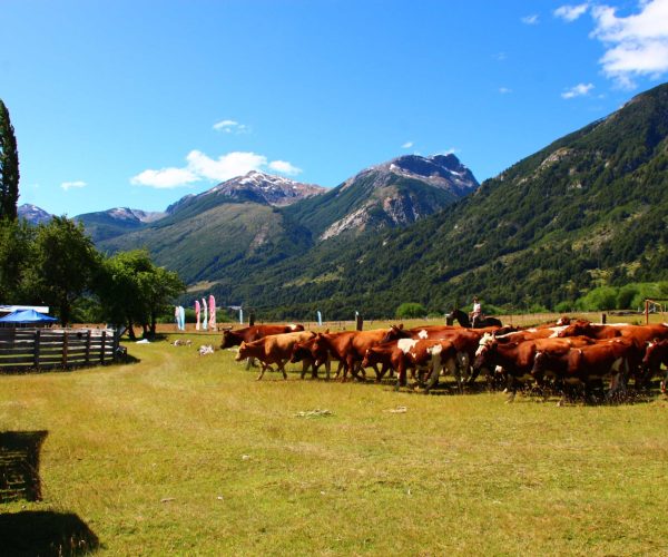 turismo-rural-en-futaleufu_2
